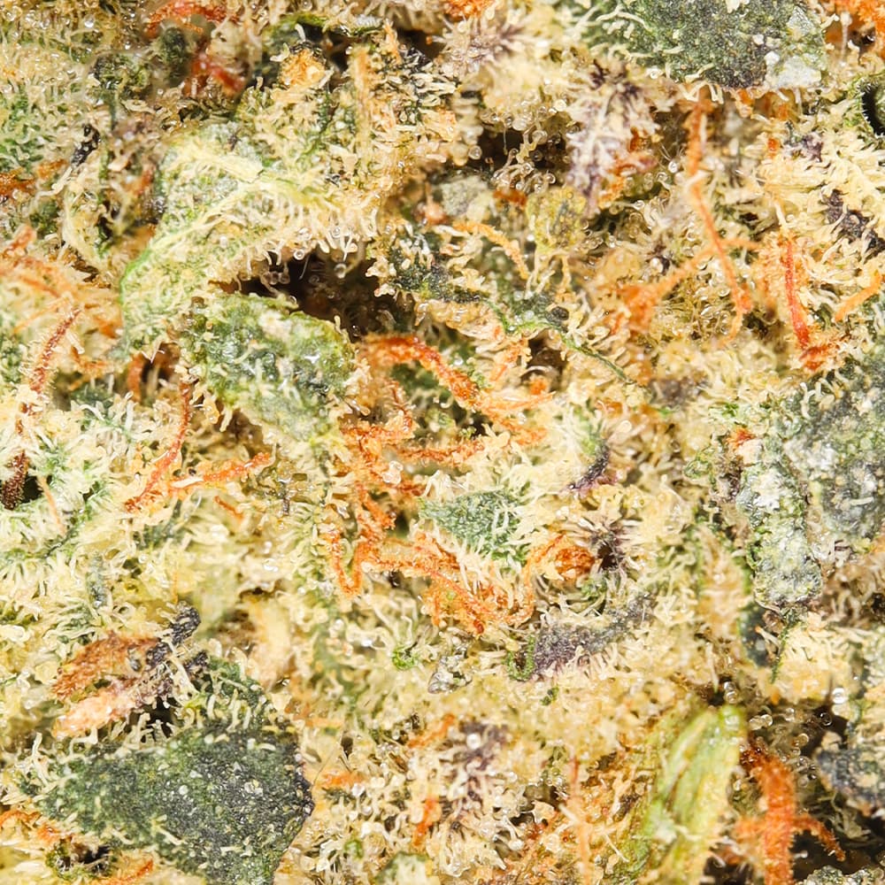 Premium - - Mochi - image-2